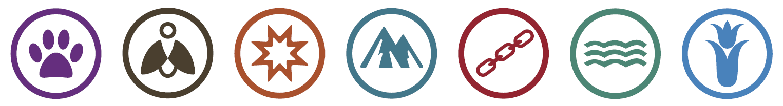 BB��Ѷ��(�й���)���޹�˾