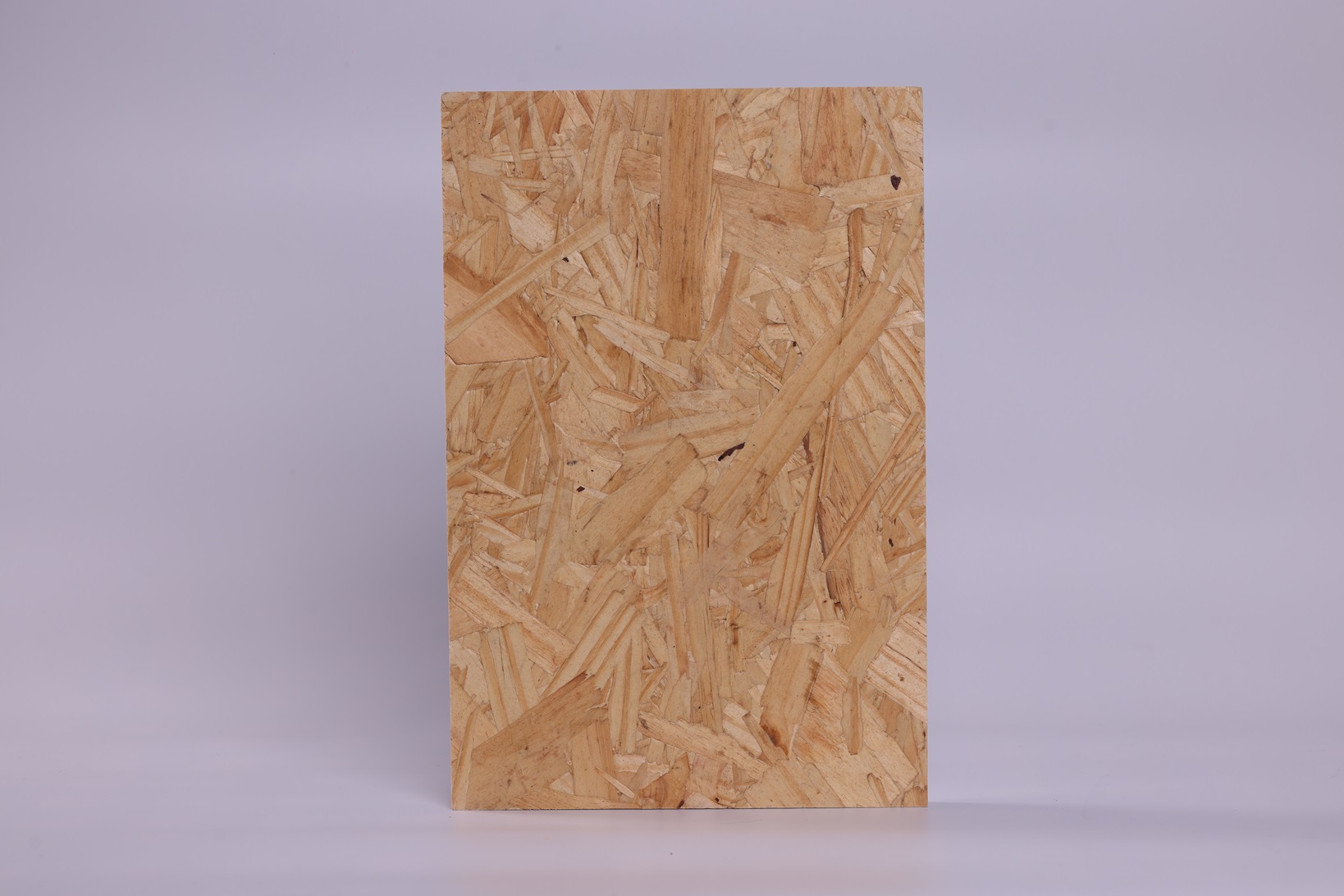 BB��Ѷ��(�й���)���޹�˾