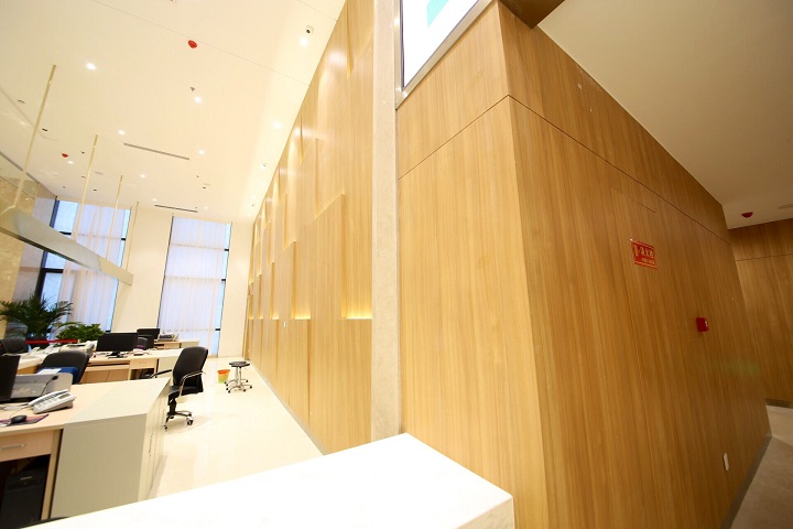 ɽ������Ч������