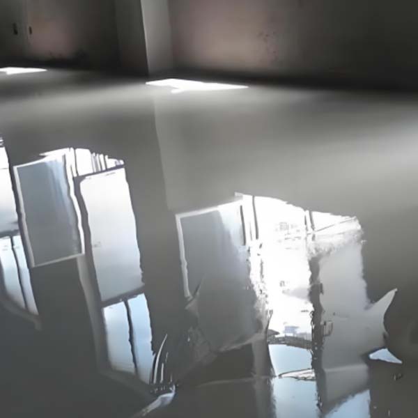 BB��Ѷ��(�й���)���޹�˾