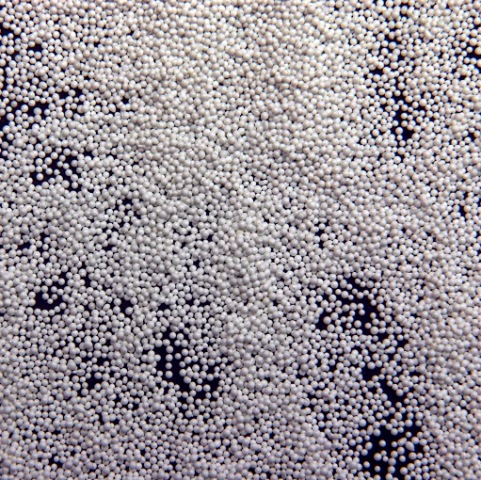 BB��Ѷ��(�й���)���޹�˾