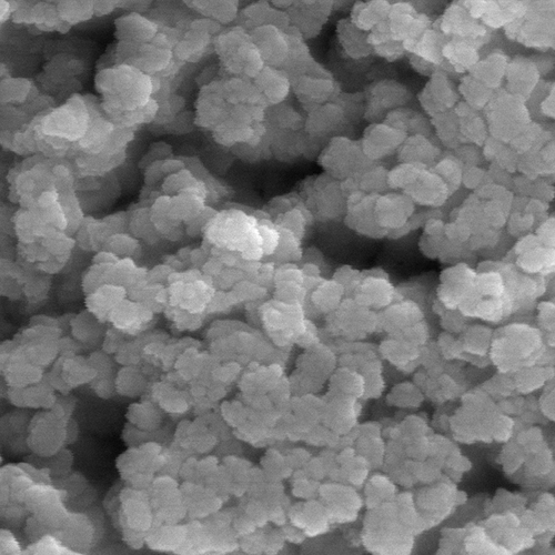 BB��Ѷ��(�й���)���޹�˾