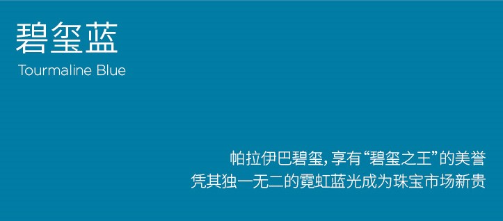 BB��Ѷ��(�й���)���޹�˾