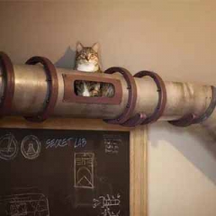 BB��Ѷ��(�й���)���޹�˾