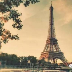 BB��Ѷ��(�й���)���޹�˾