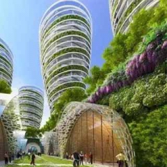 BB��Ѷ��(�й���)���޹�˾