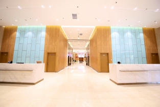 ɽ����������Ч������