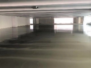 ��������ͣ����